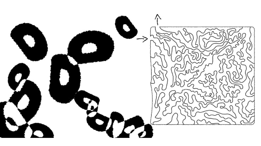 Spread seven — lost